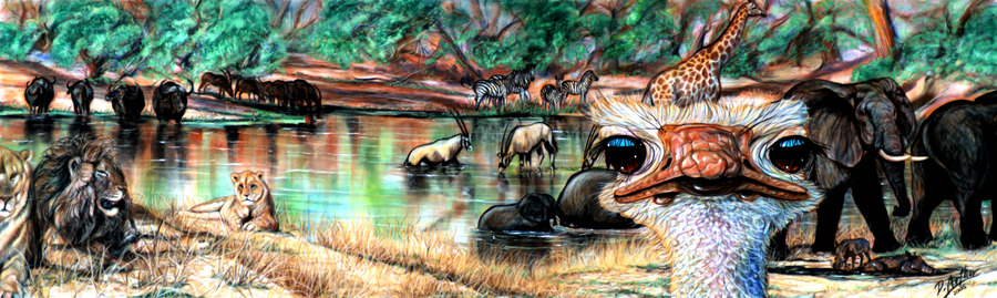 Rhupert On Safari D. Arthur Wilson
